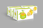 水果包装 包装箱 柚子 平面图