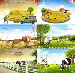 奶牛农场养殖广告