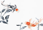 中国画水墨水草水彩鱼锦鲤插图