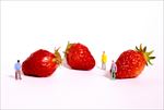 草莓与微距小人模型