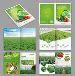 绿色农业画册蔬菜画册
