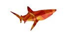 多彩卡通橙色鲨鱼透明背景图