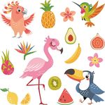 热带水果花鸟插画素材