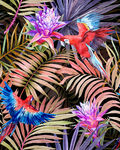 手绘热带植物鹦鹉花卉服装印花图
