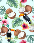 手绘热带植物大嘴鸟椰子果印花图