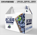 进口蓝莓礼盒包装设计