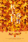 秋天你好
