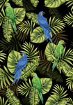手绘热带植物鸟服装印花图案素材