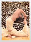 印度瑜珈女人高级会师展板