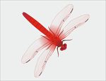 手绘红蜻蜓矢量图