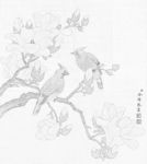 余稚花鳥圖冊白描底稿工筆畫玉蘭