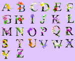 字母 字母卡片 字母卡 识字卡
