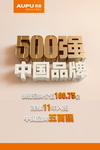 500强中国品牌