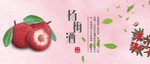 楊梅酒標簽