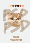 加菲猫 猫咪 头像 插画