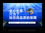 水產(chǎn)海報(bào)