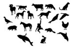 动物世界矢量图