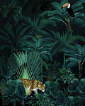 热带雨林植物花豹巨嘴鸟