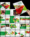 绿色蔬菜画册绿色食品画册