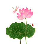 國(guó)朝中秋節(jié)原創(chuàng)佳節(jié)中國(guó)風(fēng)荷花卡