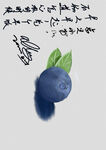 蓝莓水果