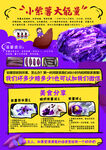 紫薯传单DM海报