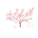 樱花树