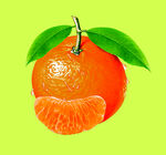 沃柑 橘子 