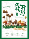 蘑菇 野生菌