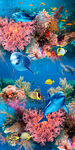 海底世界海豚梦幻玄关壁画