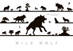 野生动物狼群唯美剪影插画
