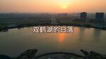双鹤湖中央公园夕阳日落