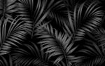 简约黑白热带植物森林电视背景墙