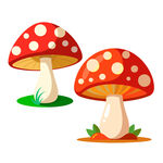量菌菇红色蘑菇