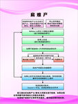 肩難產(chǎn)流程
