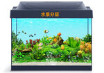 水族 觀賞魚