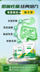 綠色自然腸道組合海報(bào)