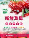 草莓海報(bào)