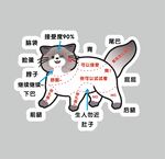 擼貓說明書