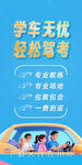 駕校招生卡通