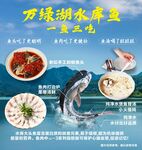 萬綠湖水庫魚一魚三吃海報