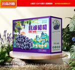 葡萄包裝 巨峰葡萄禮盒