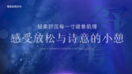 感受詩意小憩的放松時刻