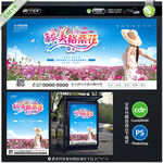 格桑花