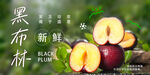 黑布林