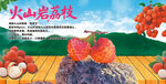 火山巖荔枝