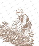 采茶女矢量圖案