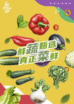 蔬菜海報(bào)