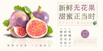 無花果 