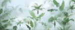 霧氣磨砂膜效果綠植貼圖